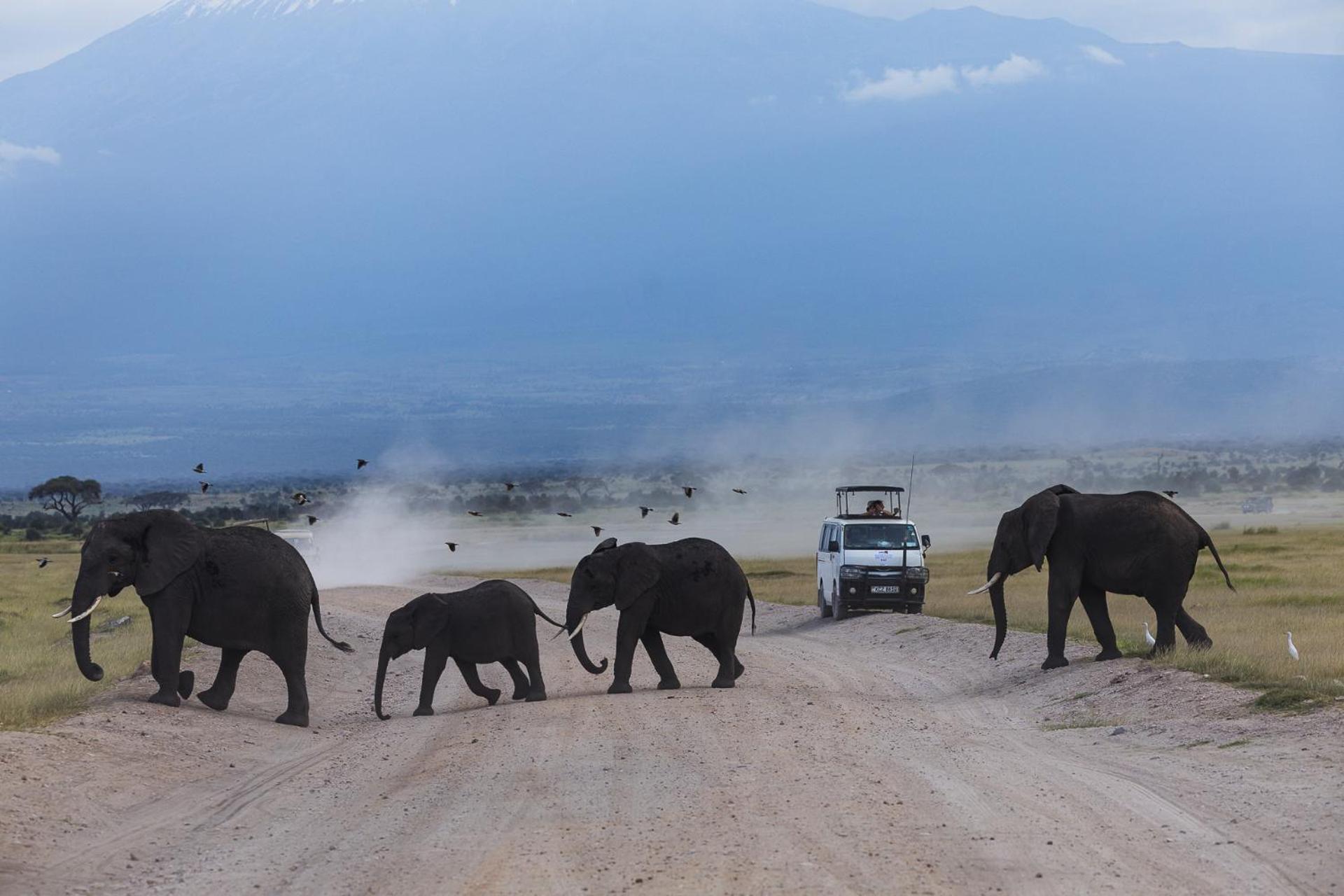 Kilimanjaro View Cabin-Amboseli Oloitokitok Quarto foto