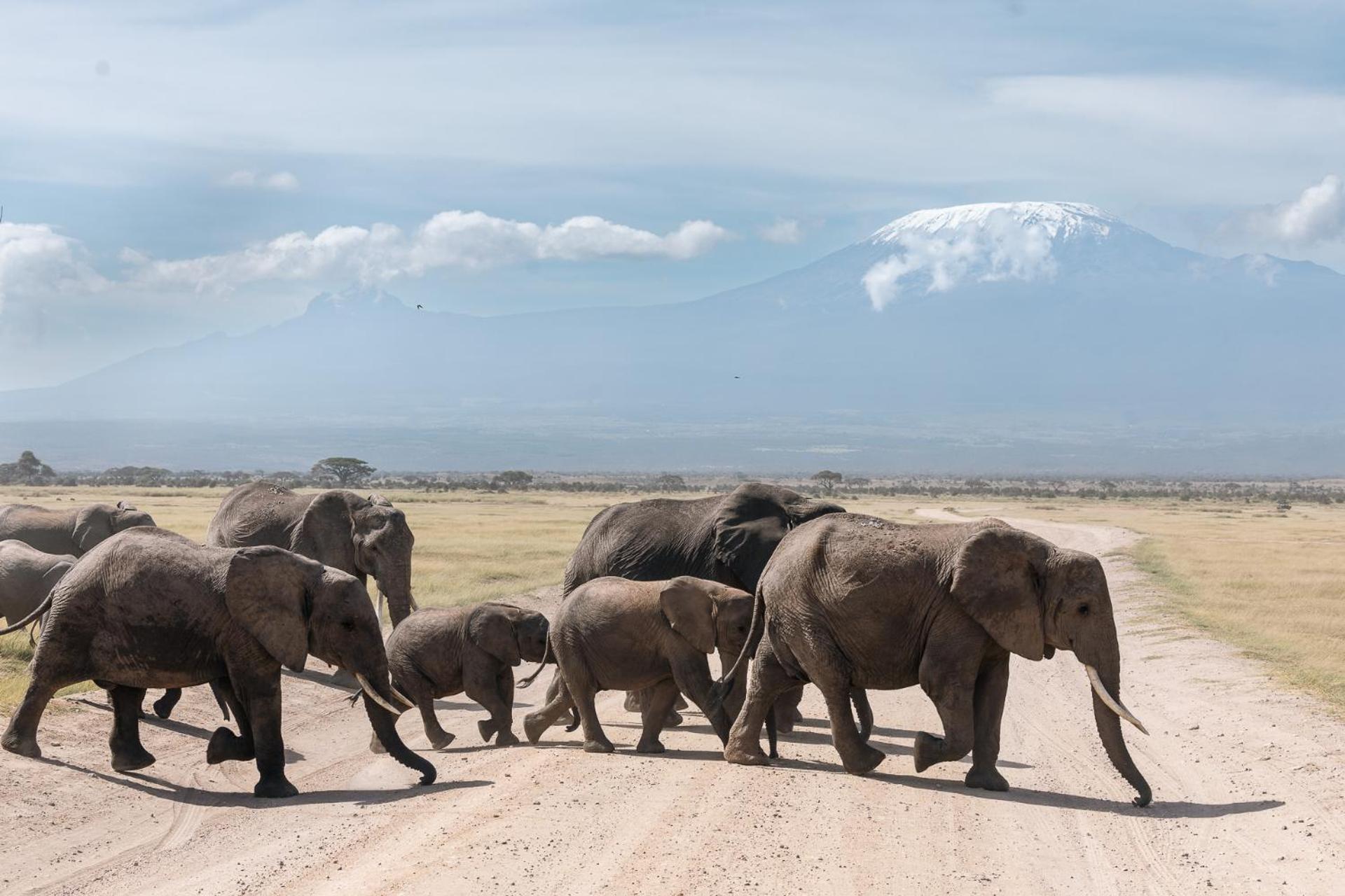 Kilimanjaro View Cabin-Amboseli Oloitokitok Quarto foto